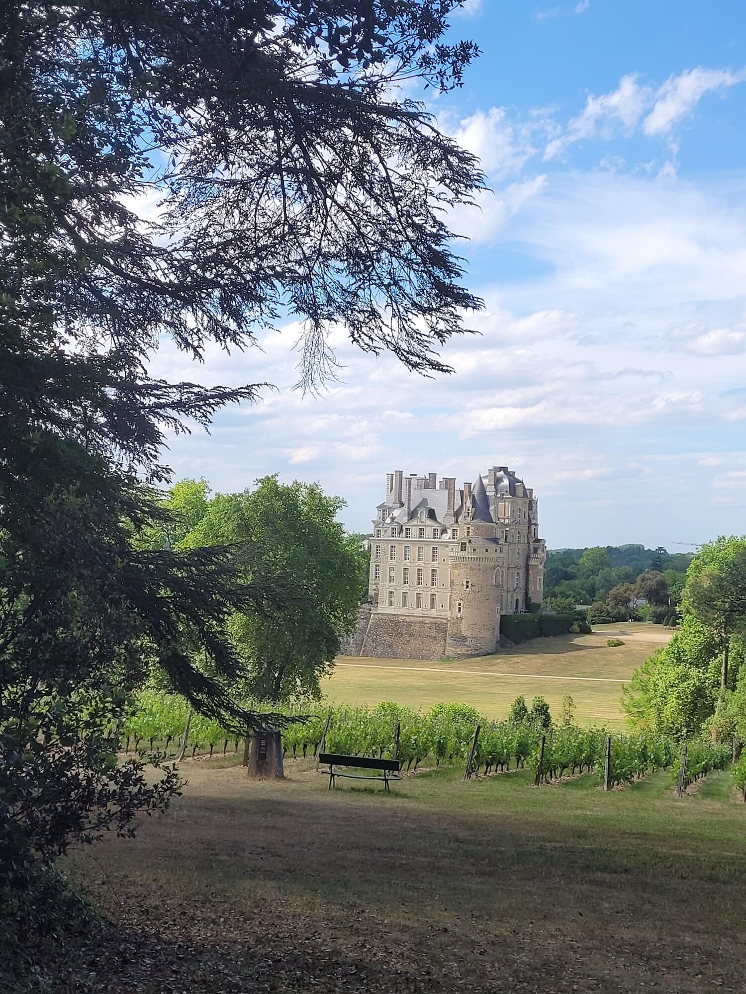 Chateau de Brissac view